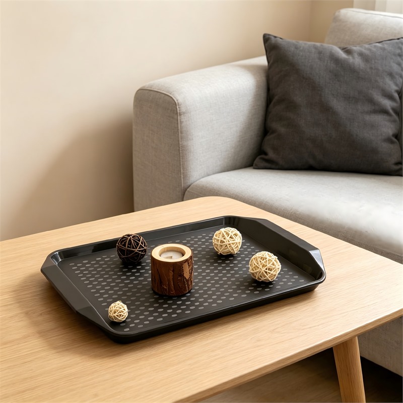 Lightweight Plastic Dessert Service Bento Tray