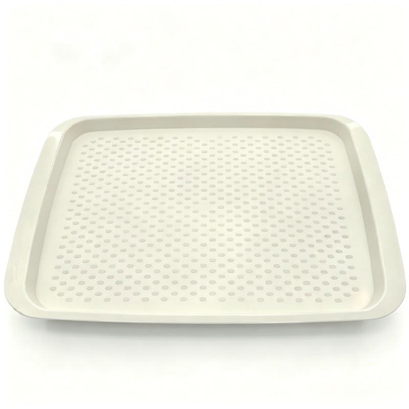 Lightweight Plastic Lunch Service Snack Tray