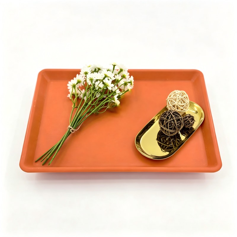 Food Grade Plastic Kindergarten Lunch Sectioned Tray