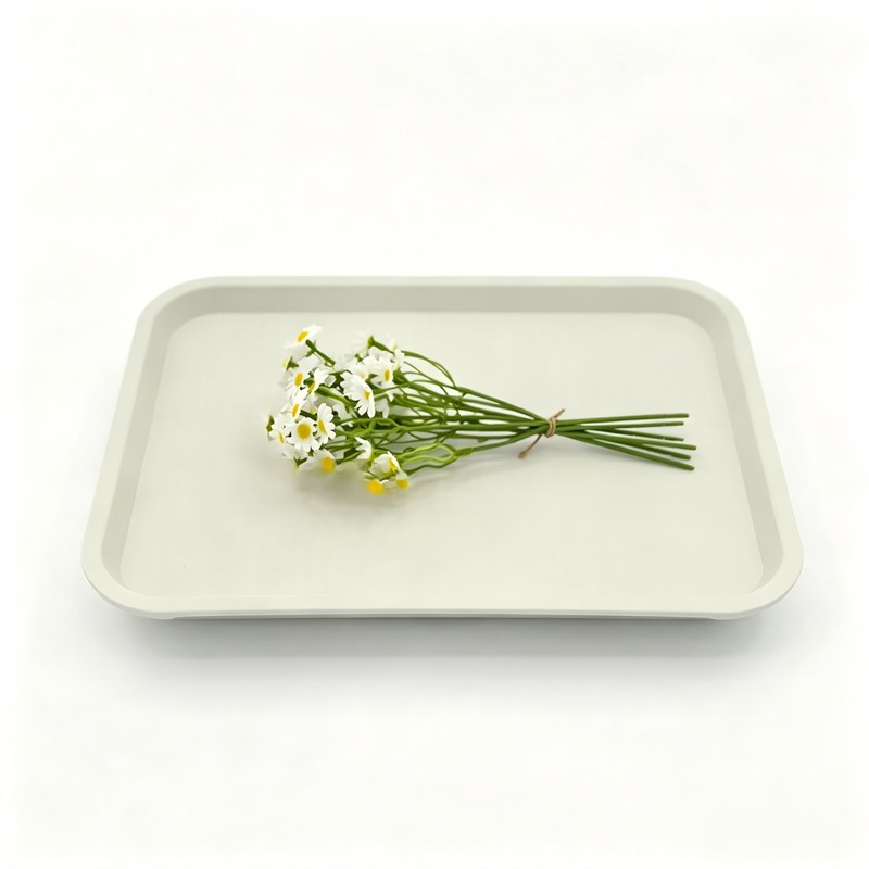 Reusable Polypropylene Rectangular Tray For Bakery Display