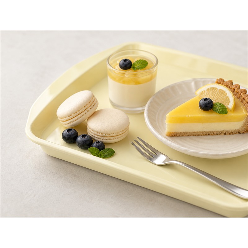 Heat Resistant PP Bento Lunch Portion Tray