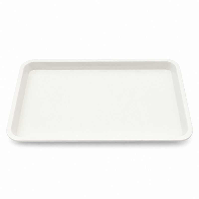 BPA Free PP Outdoor Picnic Rectangular Tray