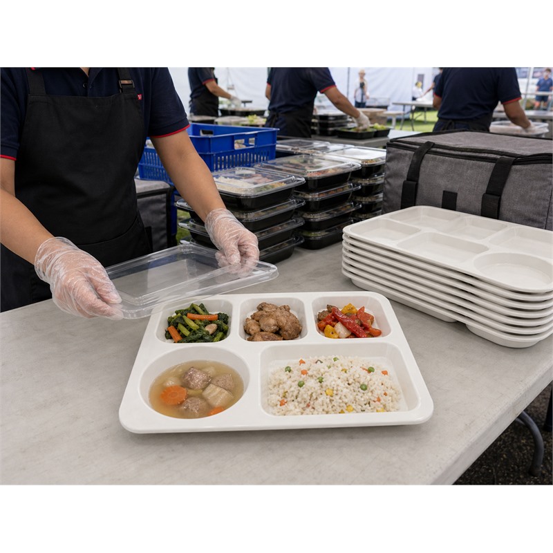 Washable Divided Plastic Meal Tray